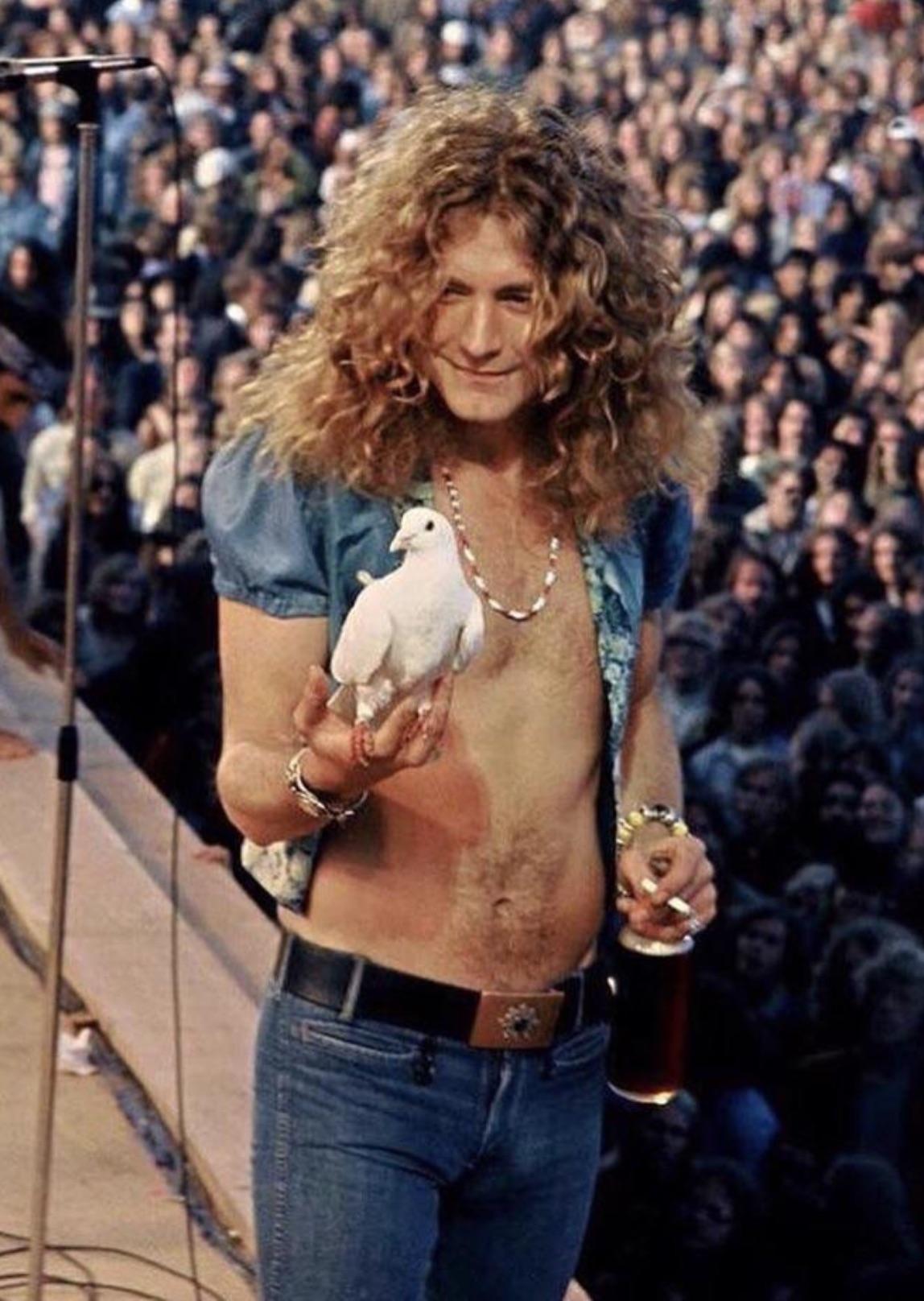 Robert Plant of Led Zeppelin holding a dove that flew into his hand during a concert in 1973. 